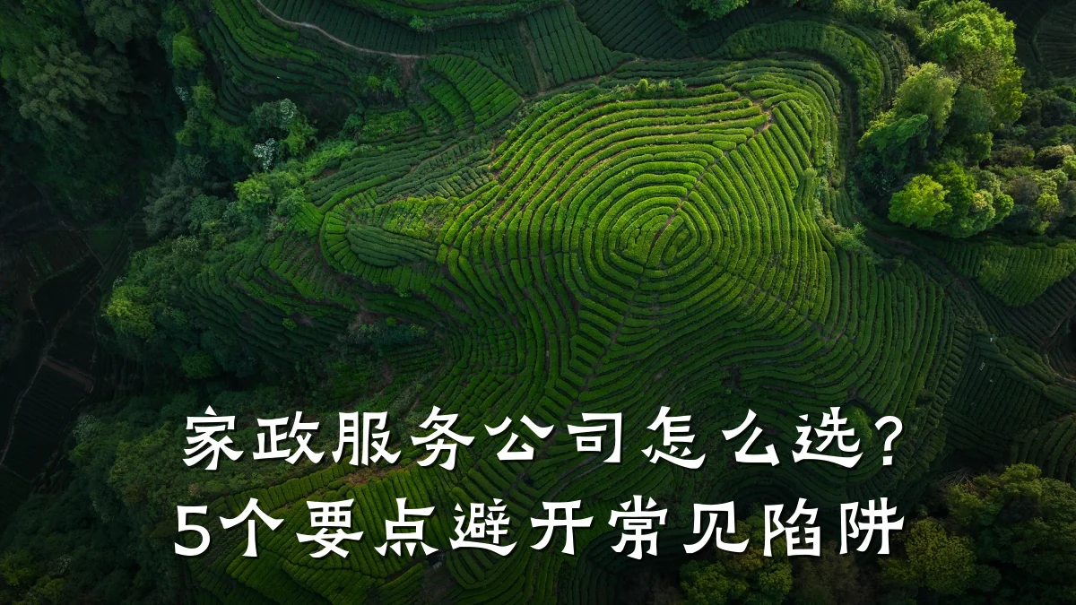 家政服务公司怎么选?5个要点避开常见陷阱