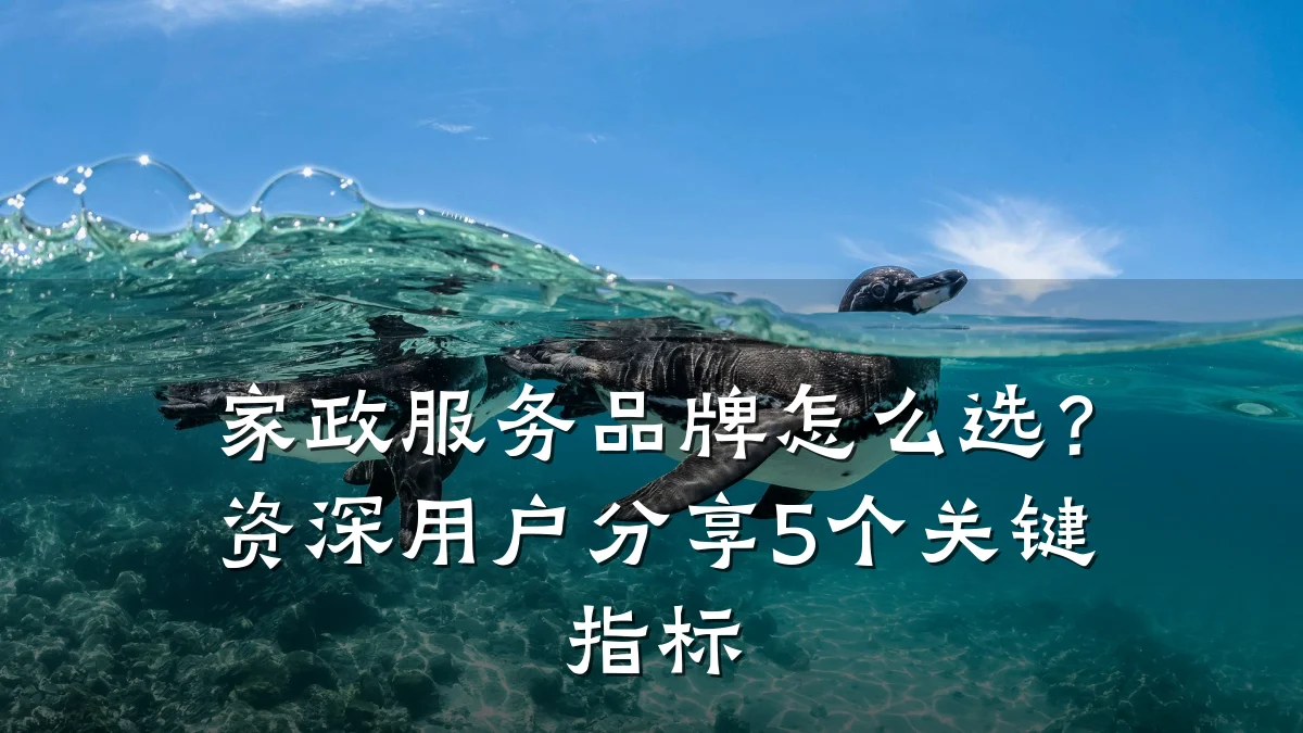 家政服务品牌怎么选?资深用户分享5个关键指标
