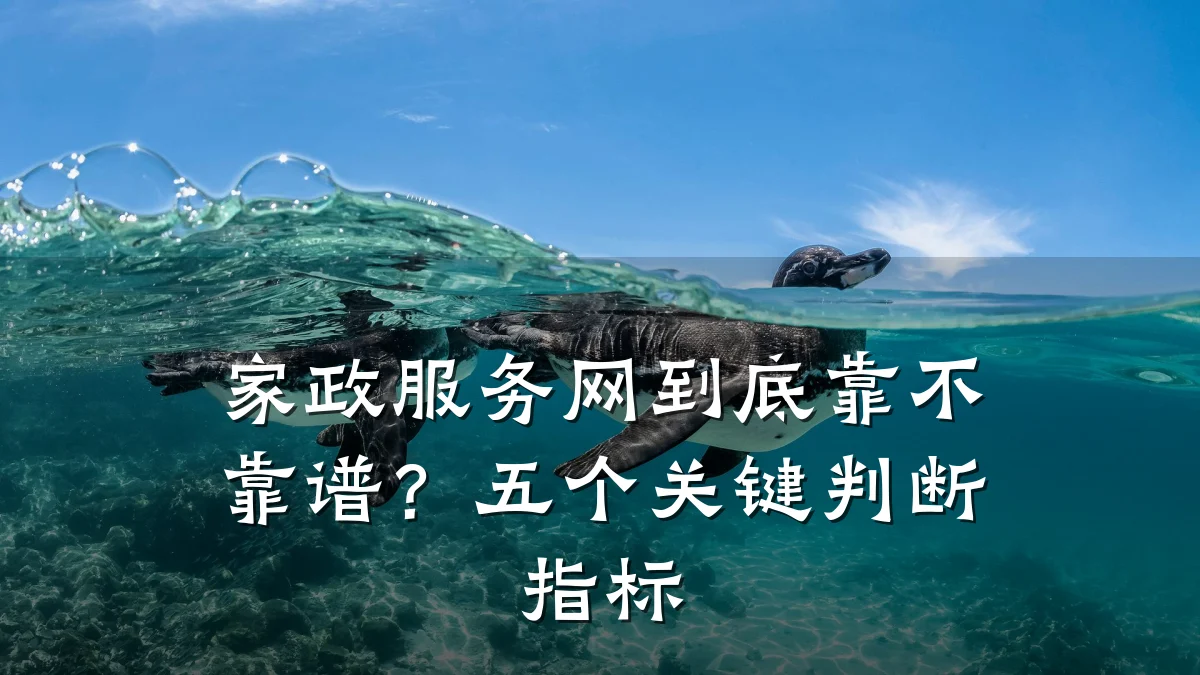 家政服务网到底靠不靠谱?五个关键判断指标