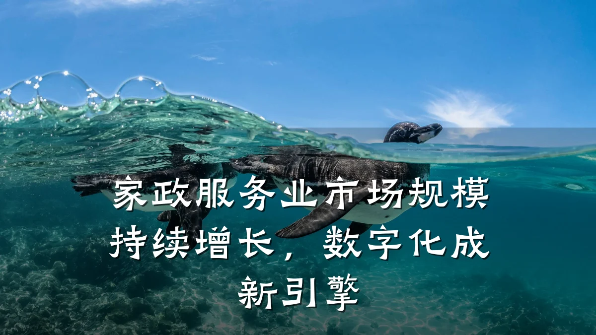家政服务业市场规模持续增长,数字化成新引擎