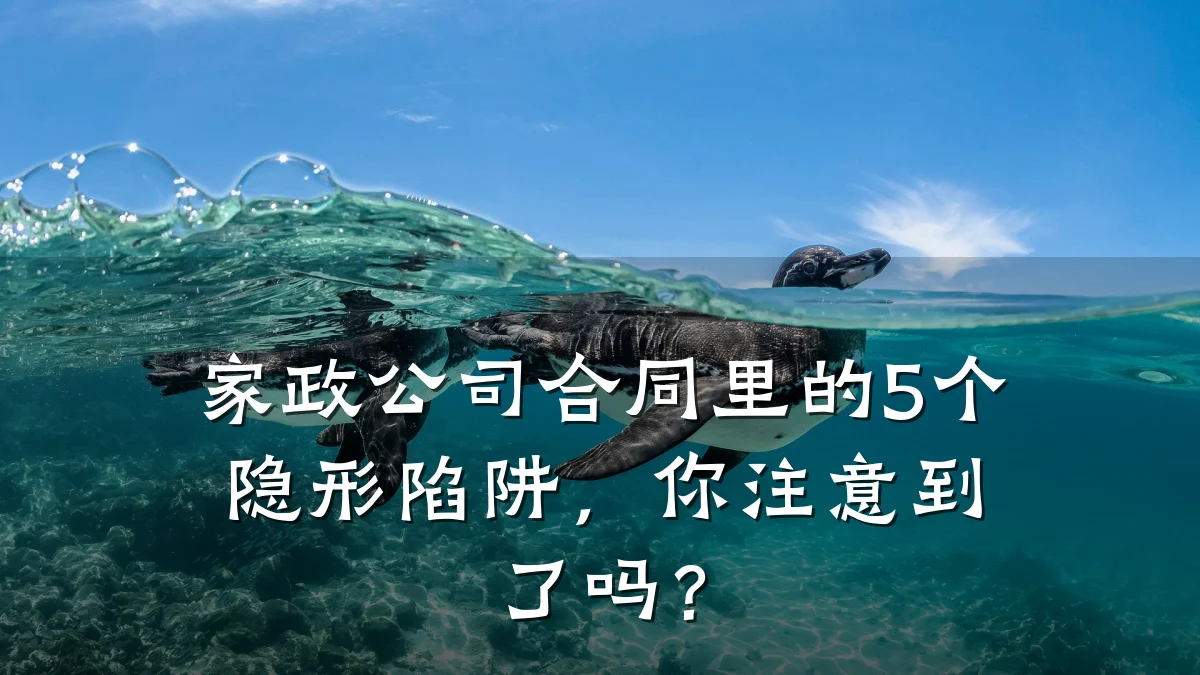 家政公司合同里的5个隐形陷阱,你注意到了吗?