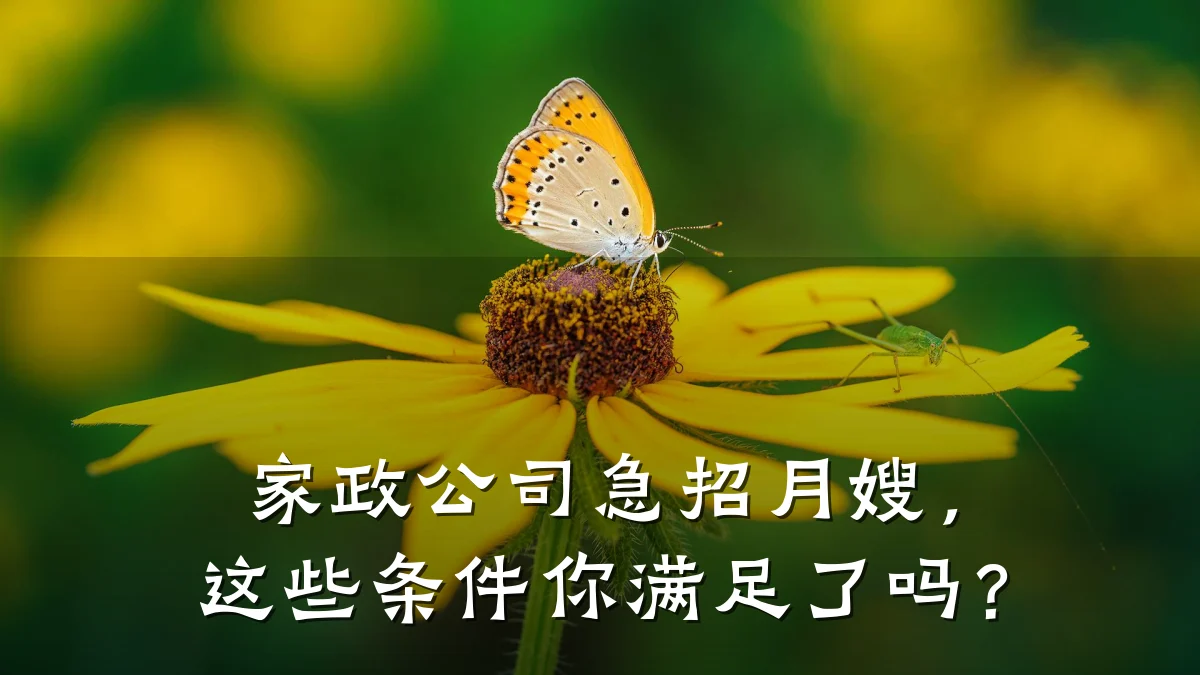 家政公司急招月嫂,这些条件你满足了吗?