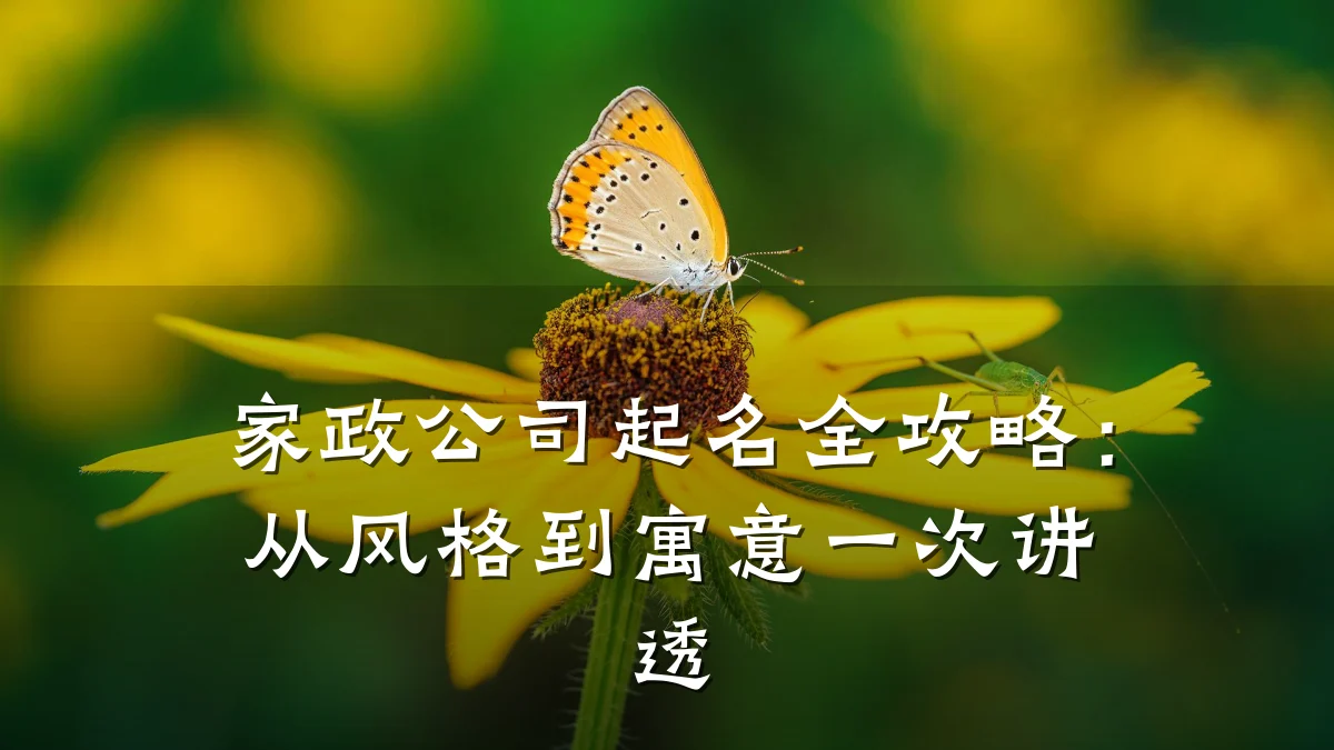 家政公司起名全攻略:从风格到寓意一次讲透