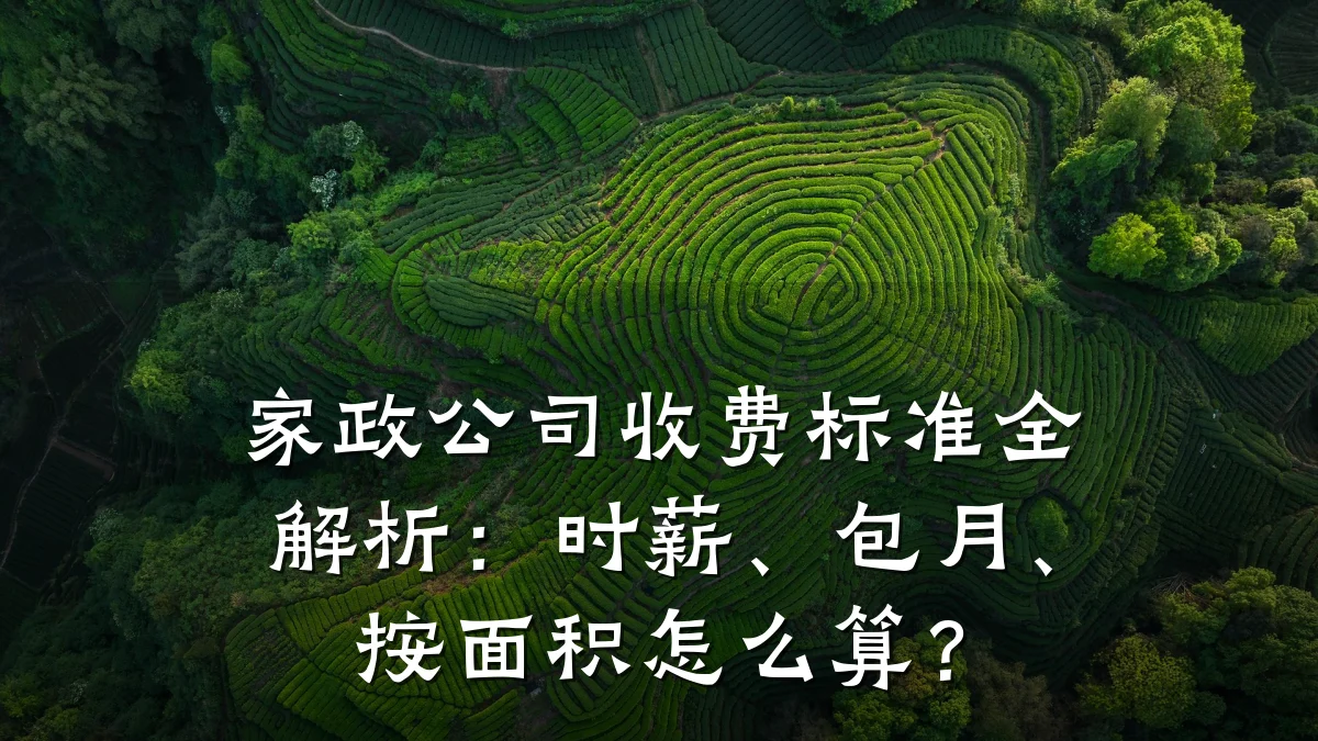 家政公司收费标准全解析:时薪、包月、按面积怎么算?