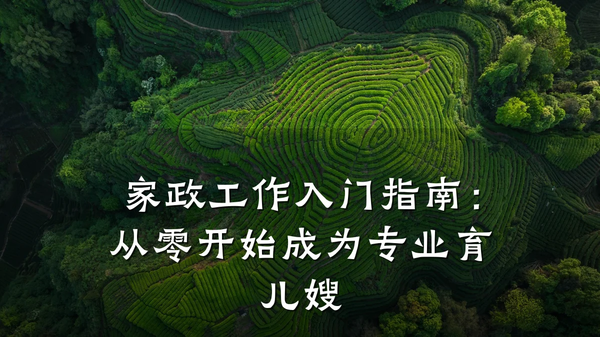 家政工作入门指南:从零开始成为专业育儿嫂