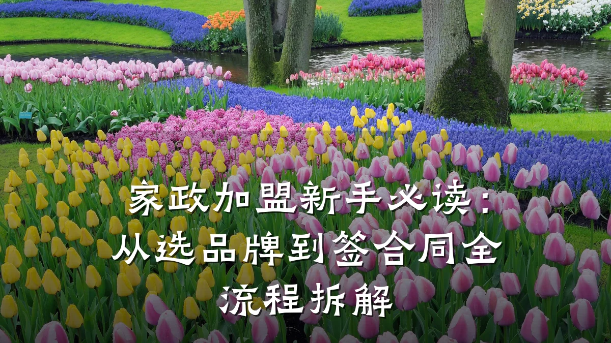 家政加盟新手必读:从选品牌到签合同全流程拆解