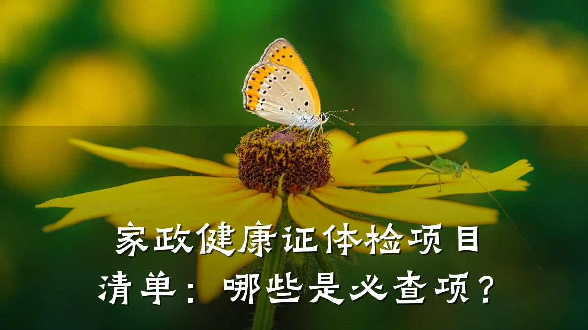 家政健康证体检项目清单:哪些是必查项?
