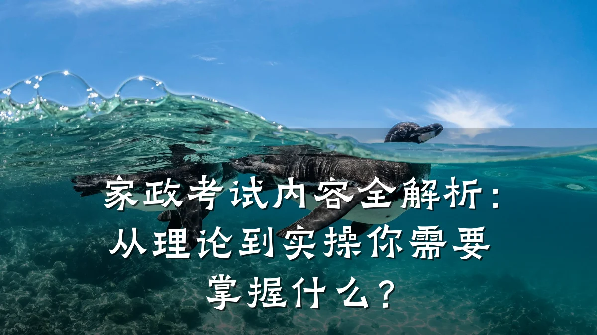 家政考试内容全解析:从理论到实操你需要掌握什么?