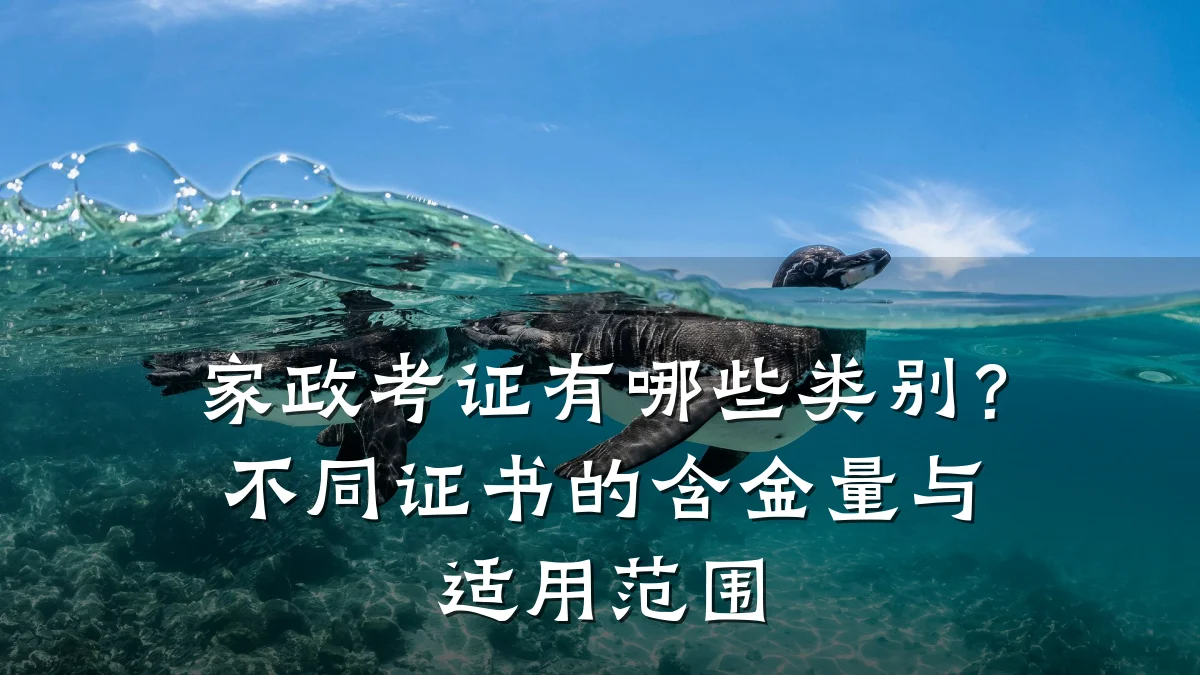 家政考证有哪些类别?不同证书的含金量与适用范围