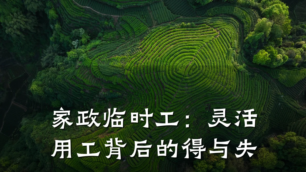 家政临时工：灵活用工背后的得与失