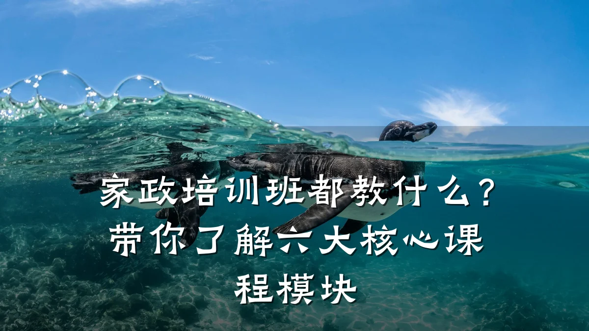 家政培训班都教什么?带你了解六大核心课程模块