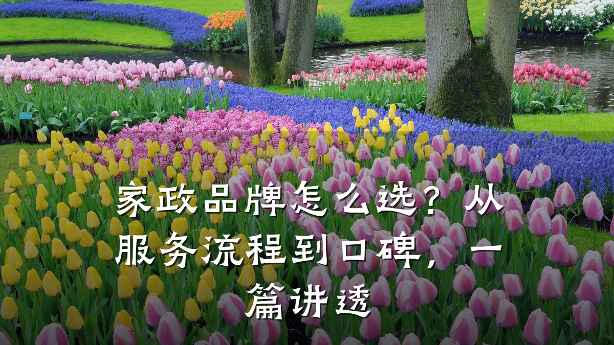 家政品牌怎么选?从服务流程到口碑,一篇讲透