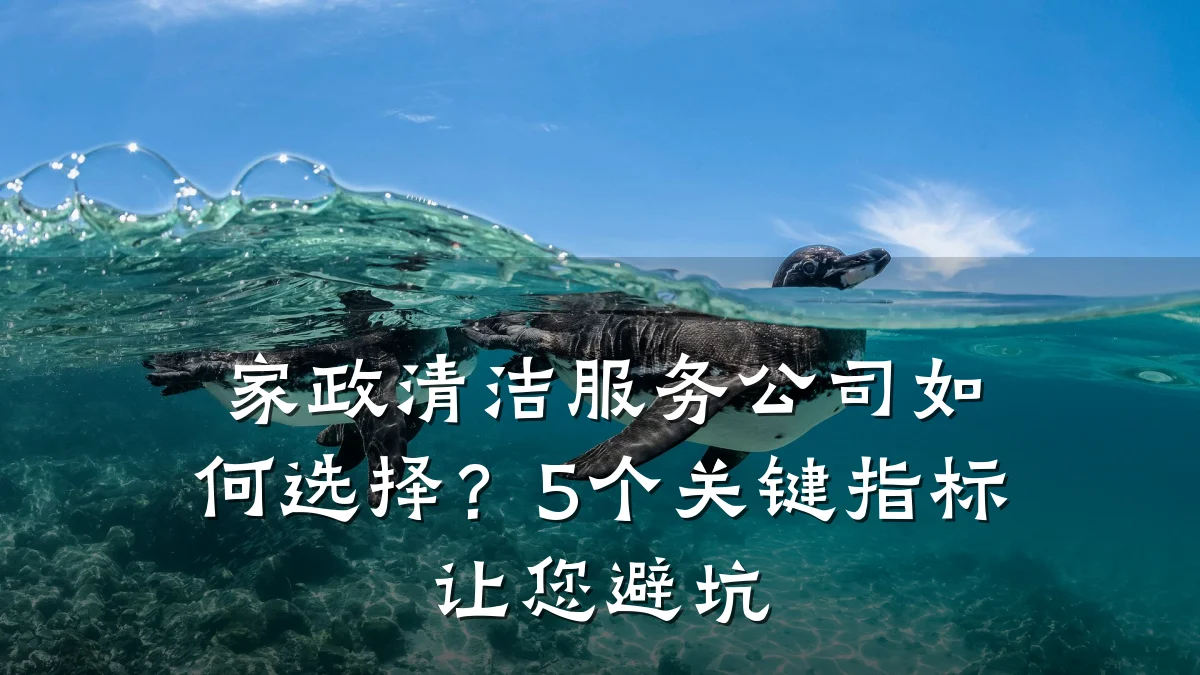 家政清洁服务公司如何选择?5个关键指标让您避坑