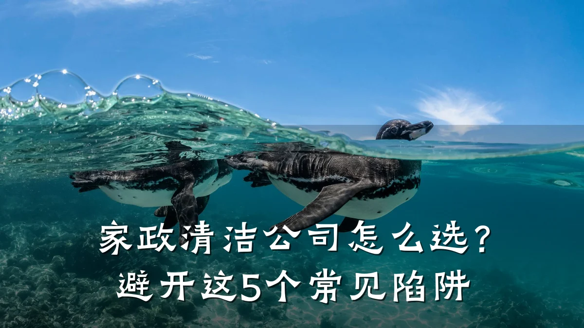 家政清洁公司怎么选?避开这5个常见陷阱