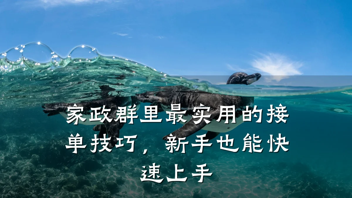 家政群里最实用的接单技巧,新手也能快速上手