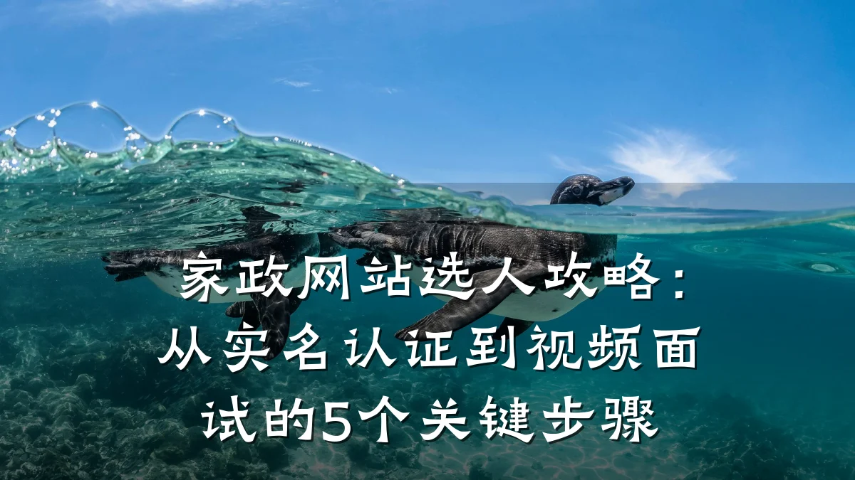 家政网站选人攻略：从实名认证到视频面试的5个关键步骤