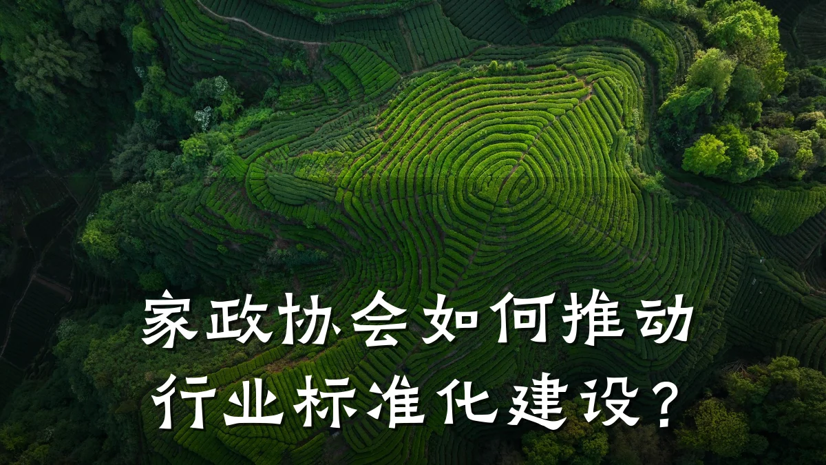 家政协会如何推动行业标准化建设?
