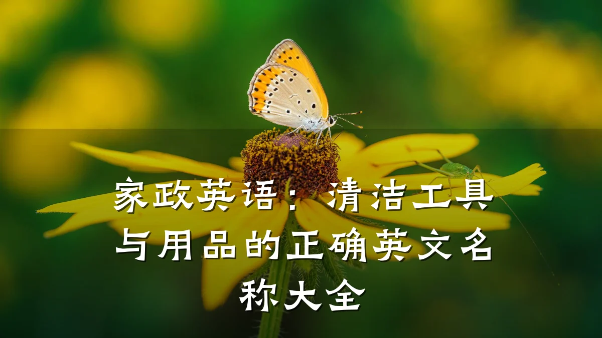 家政英语:清洁工具与用品的正确英文名称大全