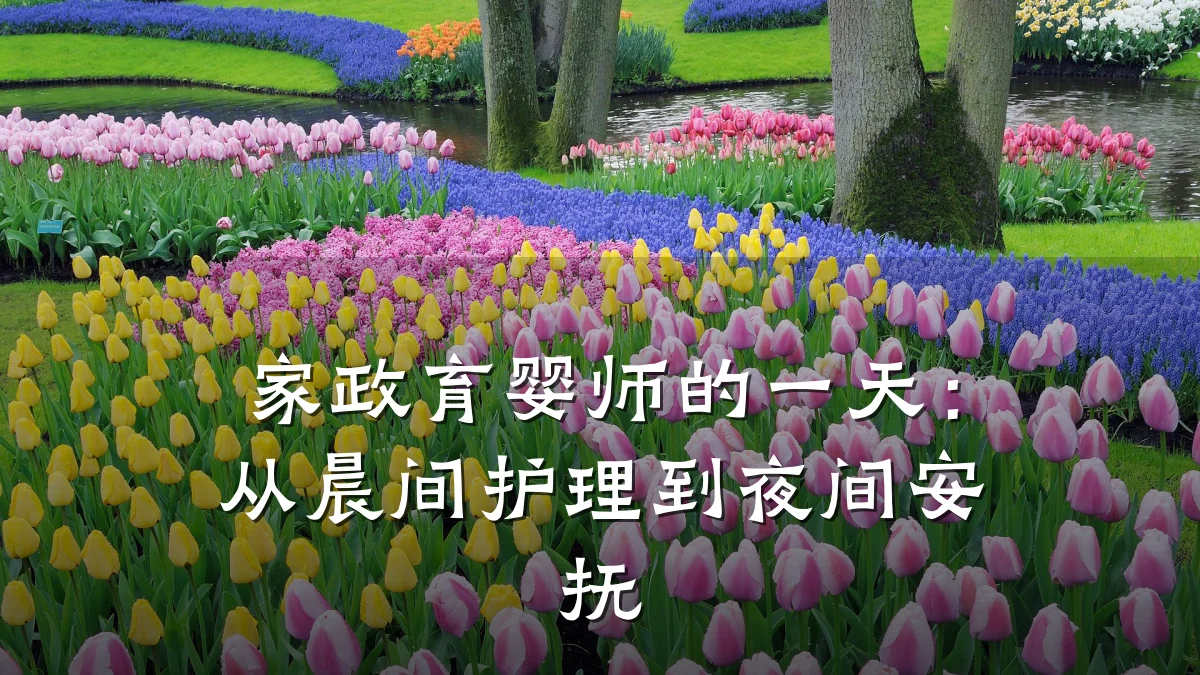 家政育婴师的一天：从晨间护理到夜间安抚