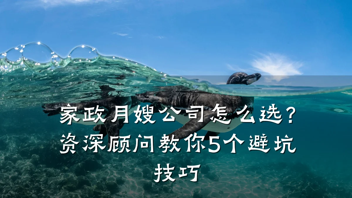 家政月嫂公司怎么选?资深顾问教你5个避坑技巧
