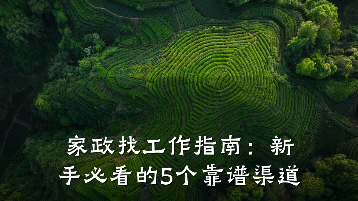 家政找工作指南：新手必看的5个靠谱渠道