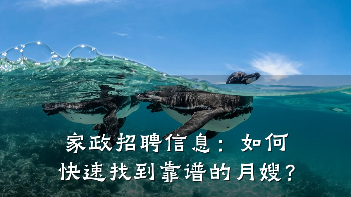 家政招聘信息:如何快速找到靠谱的月嫂?