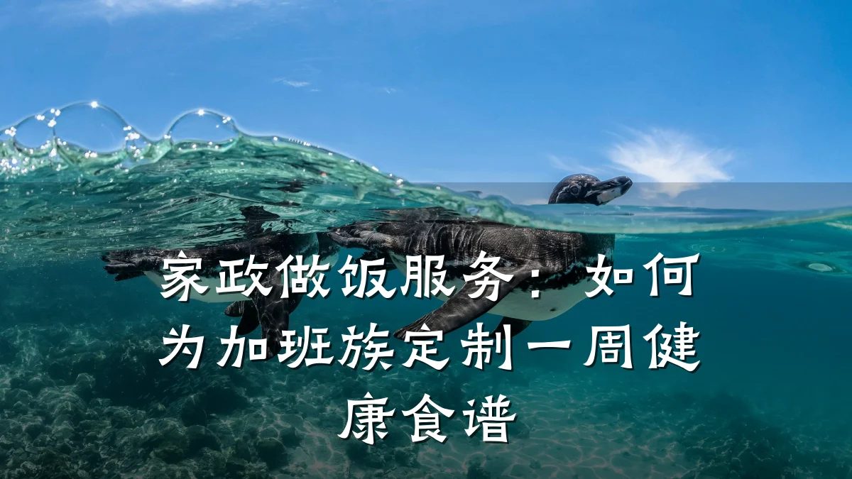 家政做饭服务:如何为加班族定制一周健康食谱