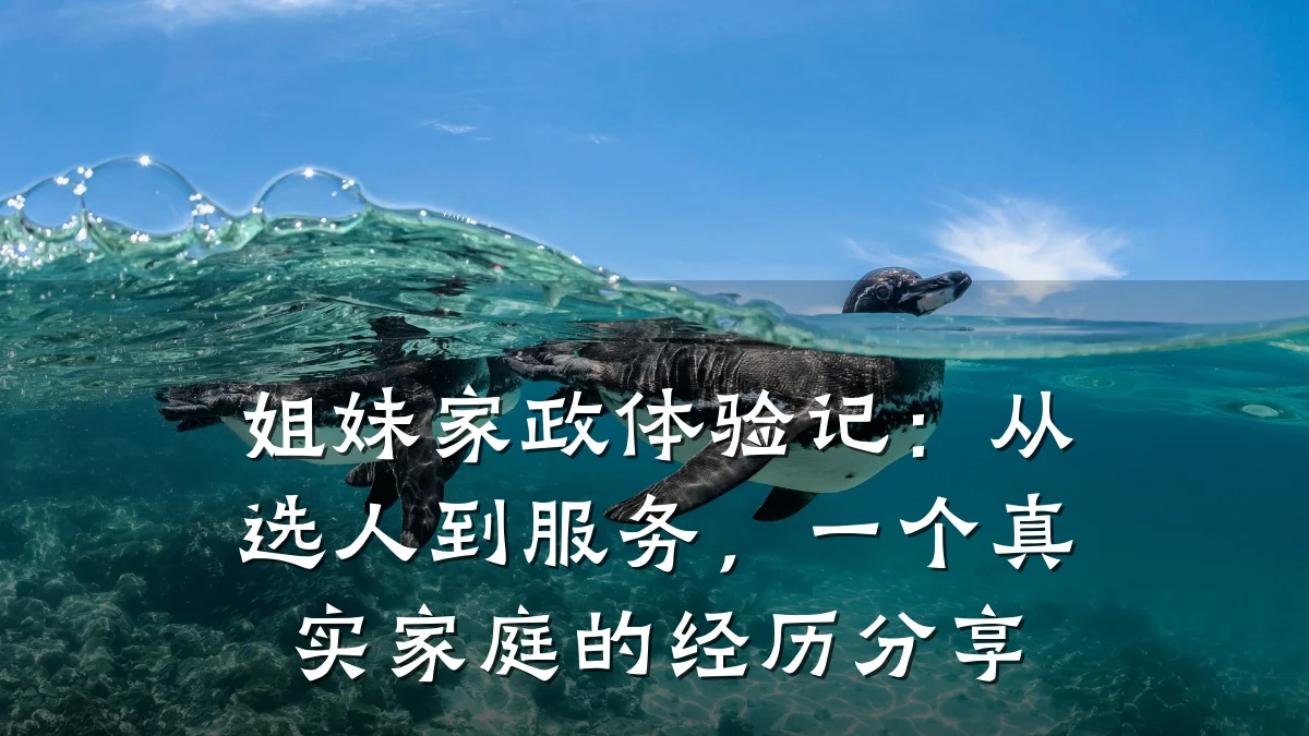 姐妹家政体验记:从选人到服务,一个真实家庭的经历分享