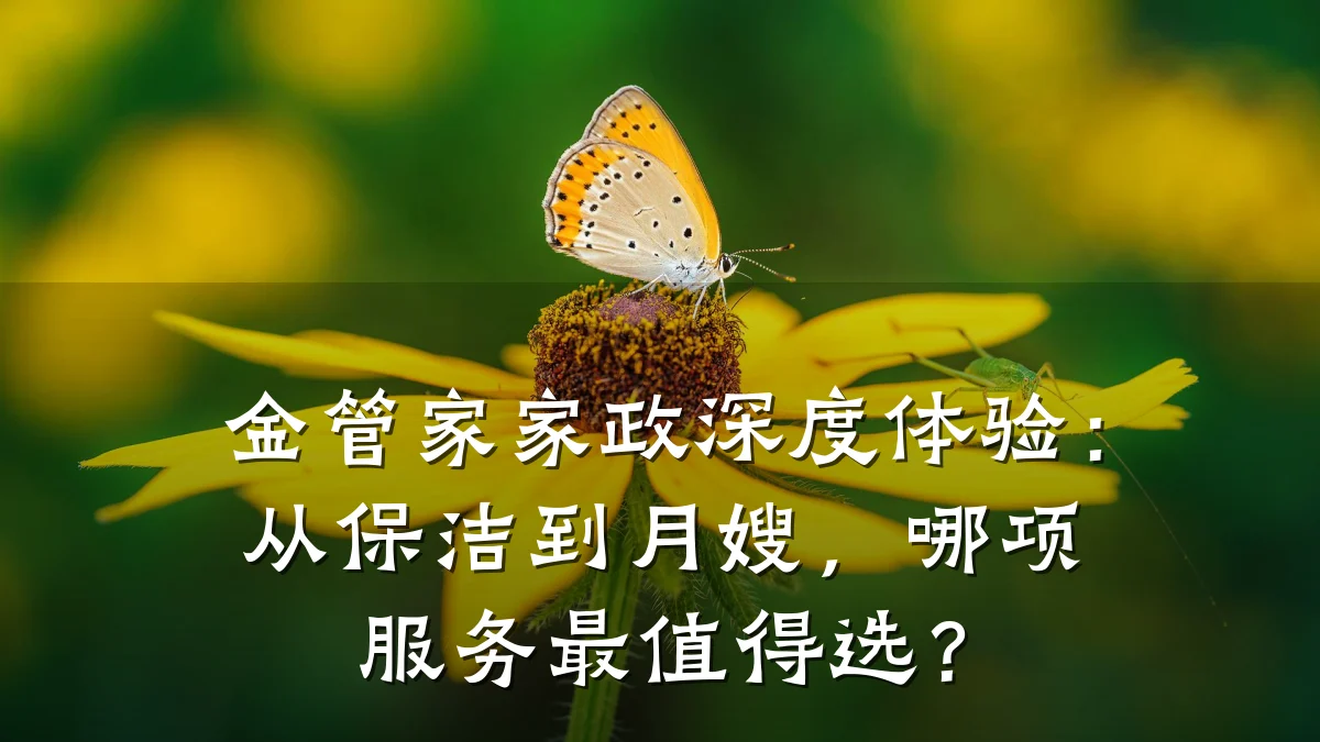 金管家家政深度体验：从保洁到月嫂，哪项服务最值得选？