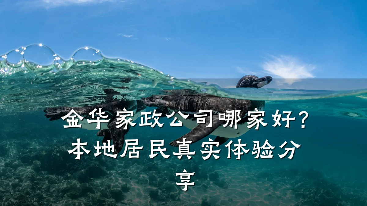 金华家政公司哪家好?本地居民真实体验分享