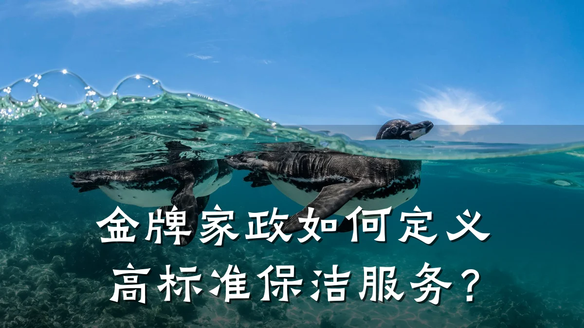 金牌家政如何定义高标准保洁服务？