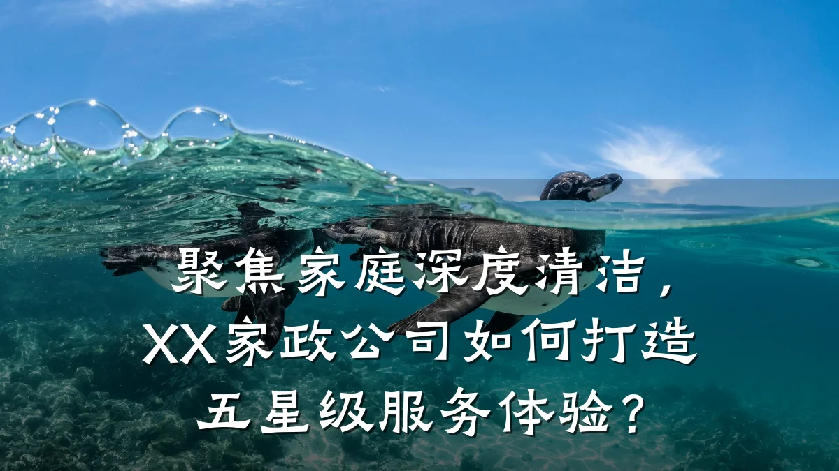 聚焦家庭深度清洁,XX家政公司如何打造五星级服务体验?
