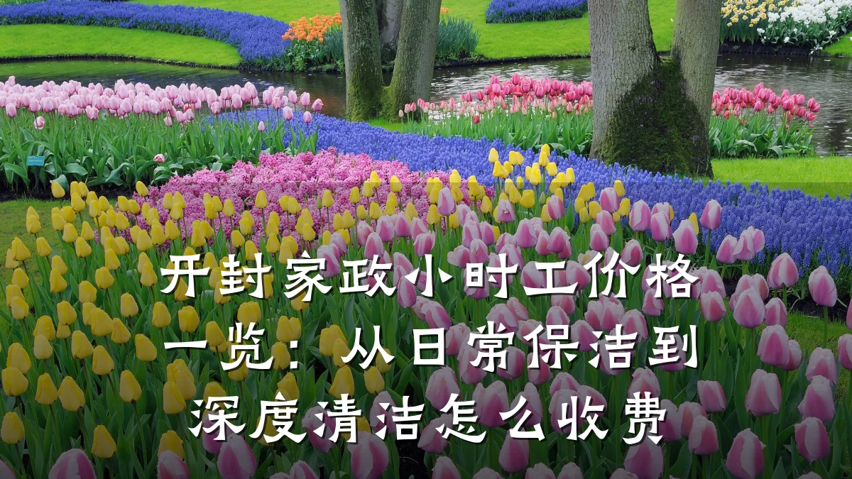 开封家政小时工价格一览:从日常保洁到深度清洁怎么收费
