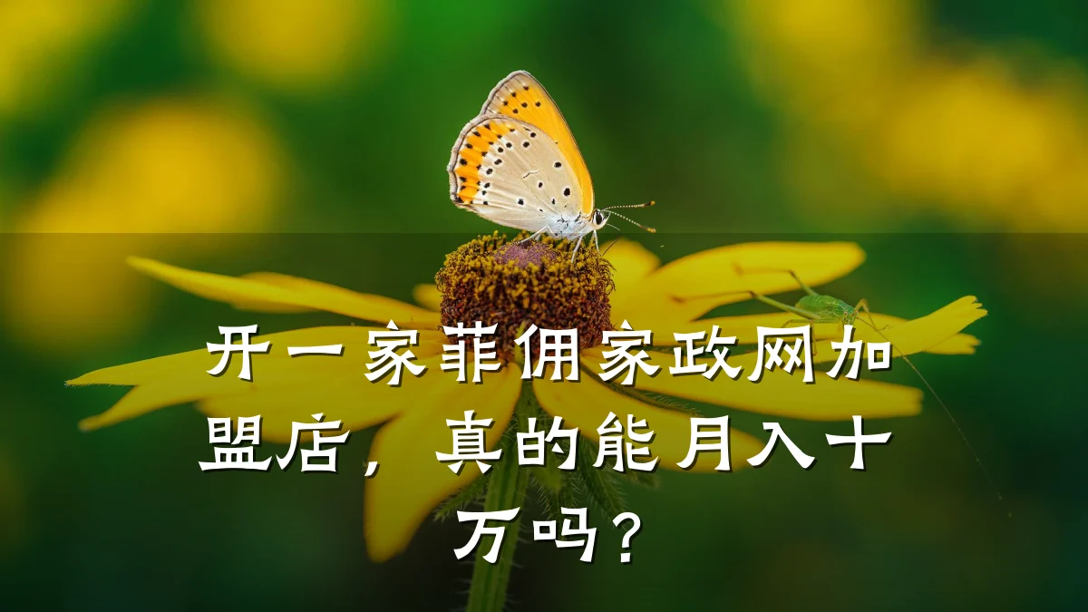 开一家菲佣家政网加盟店,真的能月入十万吗?