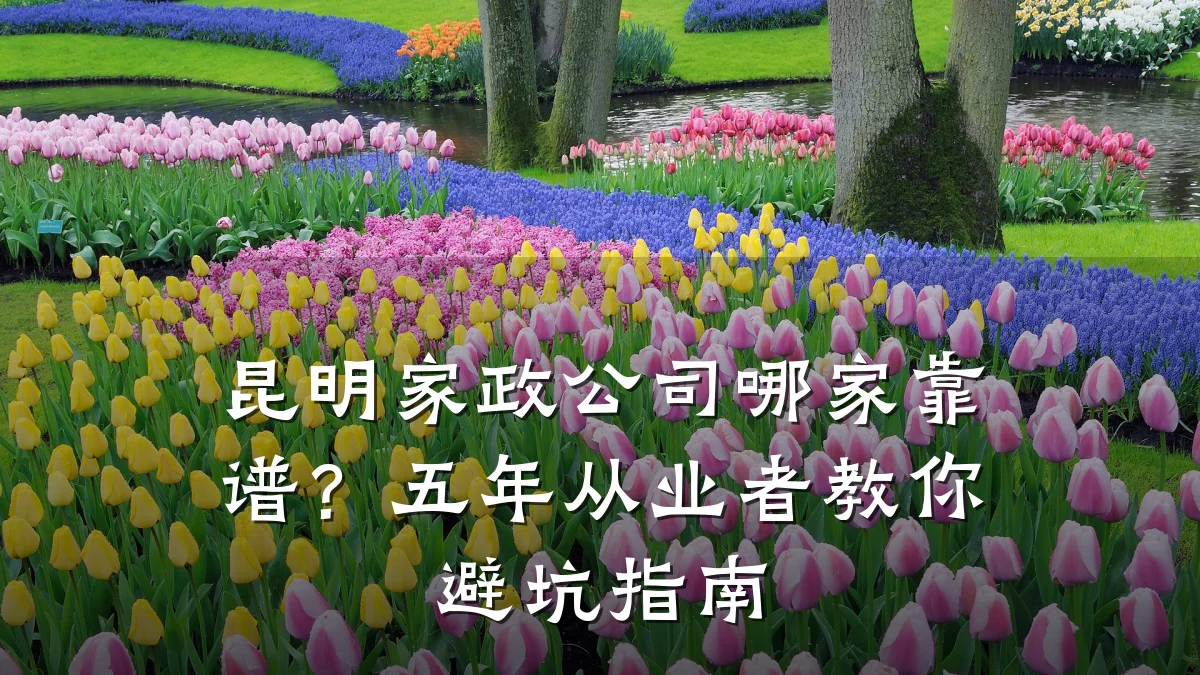 昆明家政公司哪家靠谱?五年从业者教你避坑指南
