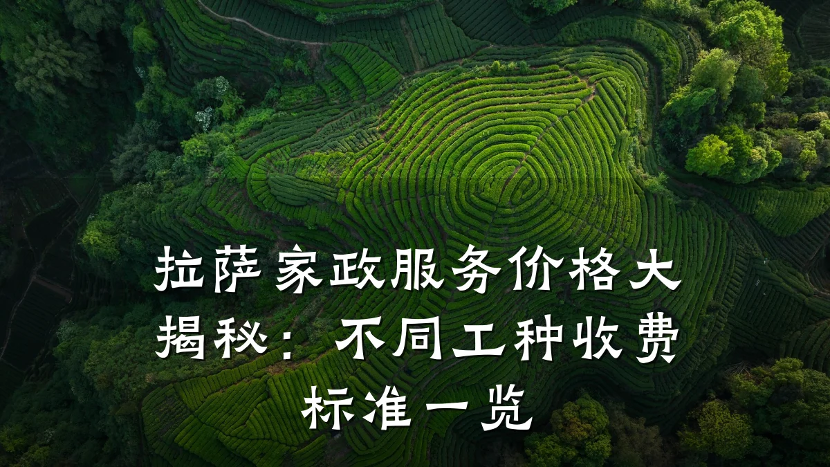 拉萨家政服务价格大揭秘:不同工种收费标准一览