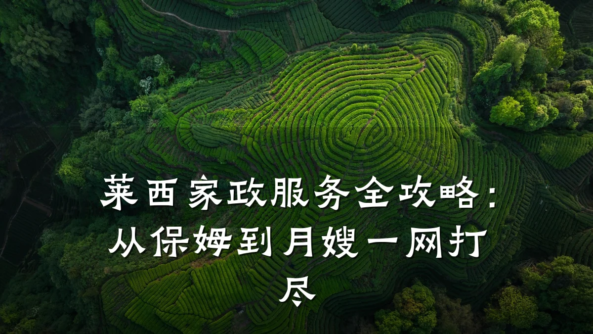 莱西家政服务全攻略:从保姆到月嫂一网打尽