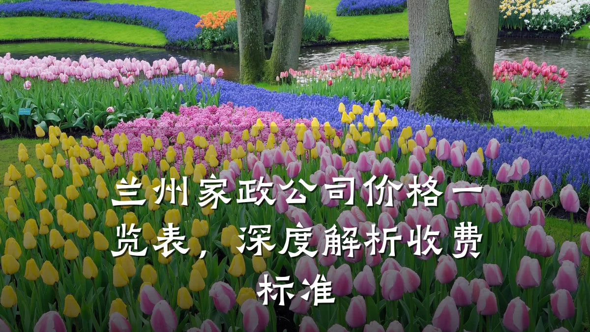 兰州家政公司价格一览表,深度解析收费标准