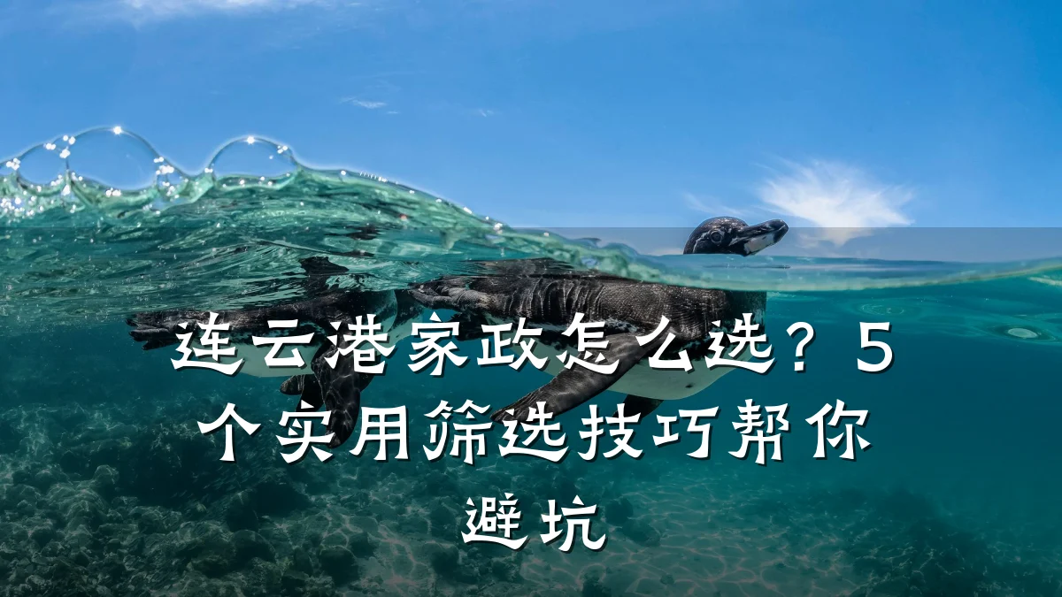 连云港家政怎么选?5个实用筛选技巧帮你避坑