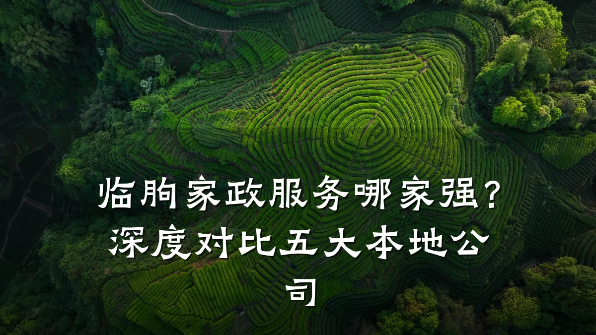 临朐家政服务哪家强？深度对比五大本地公司