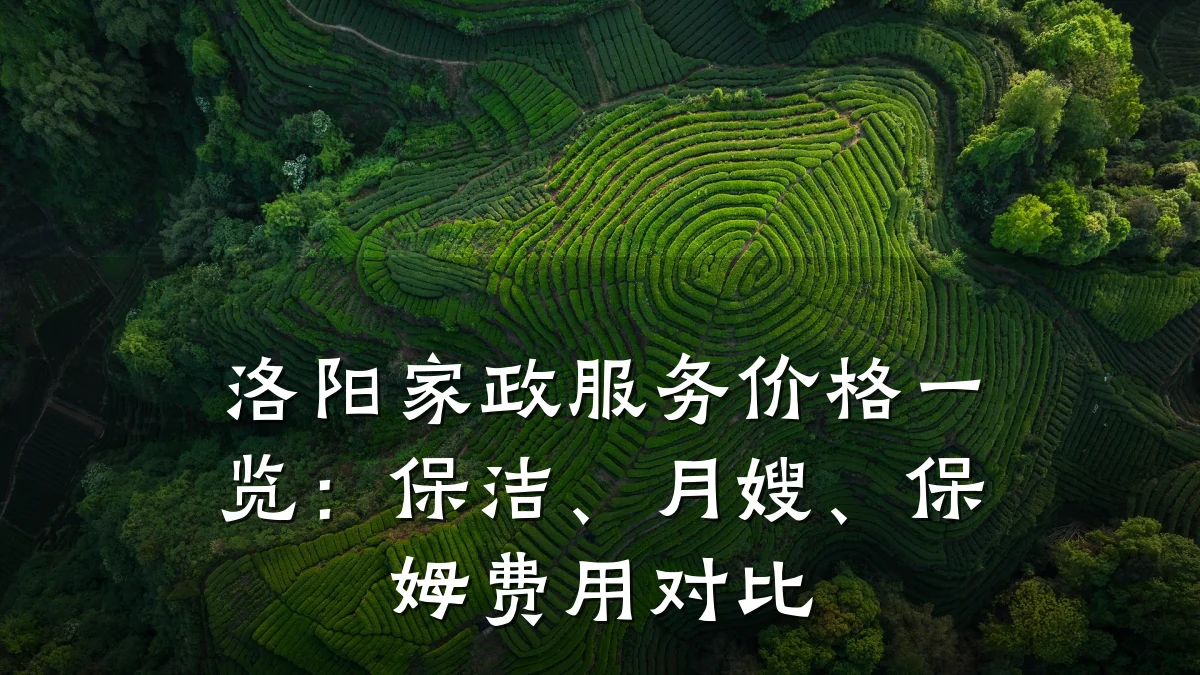 洛阳家政服务价格一览:保洁、月嫂、保姆费用对比