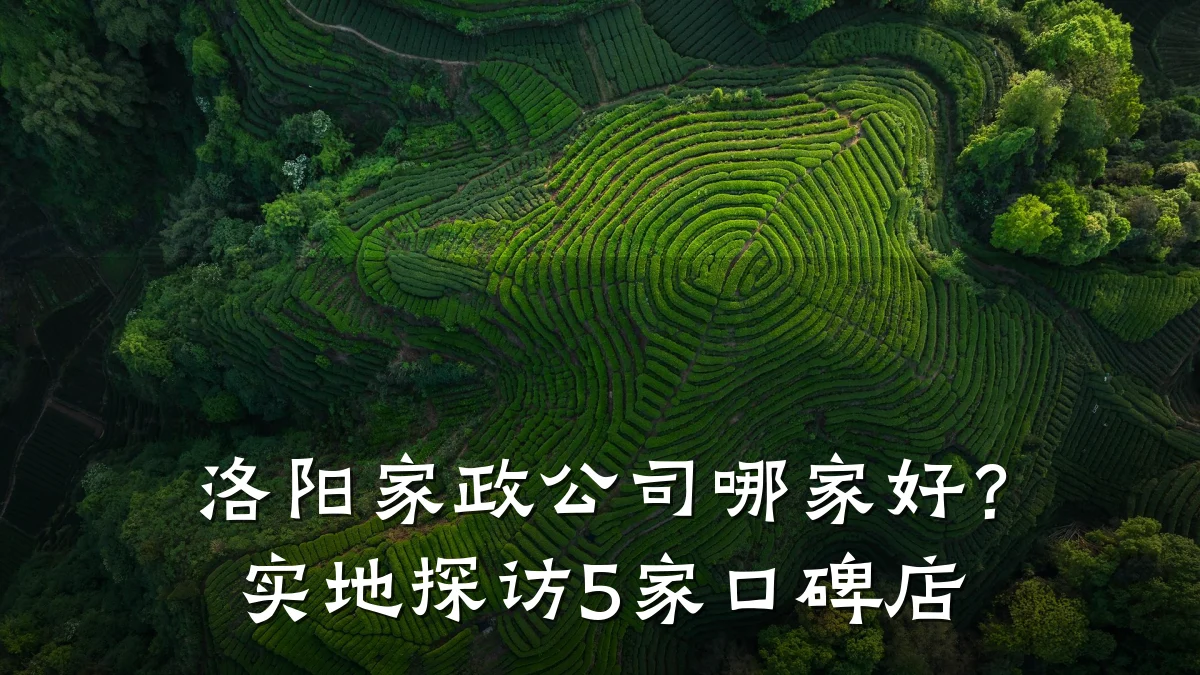 洛阳家政公司哪家好?实地探访5家口碑店