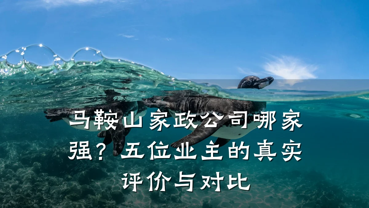 马鞍山家政公司哪家强?五位业主的真实评价与对比