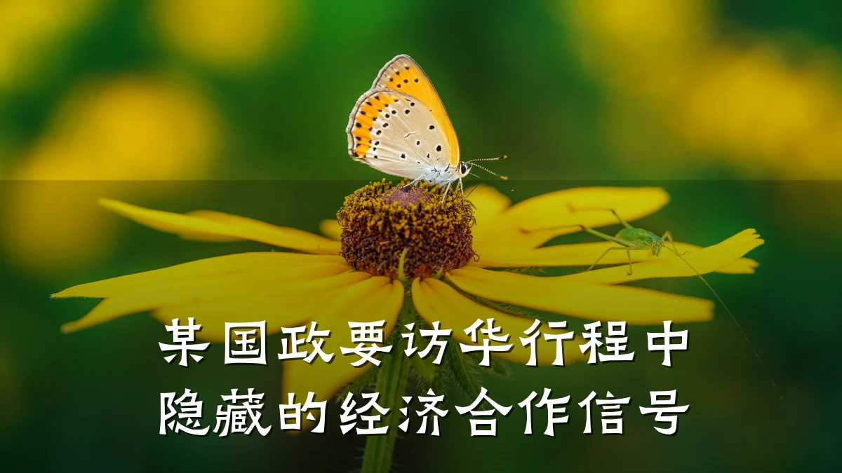 某国政要访华行程中隐藏的经济合作信号