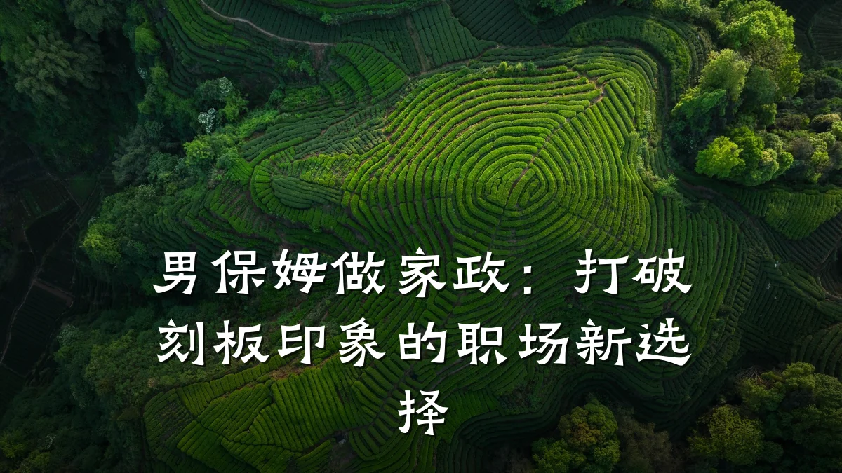 男保姆做家政:打破刻板印象的职场新选择