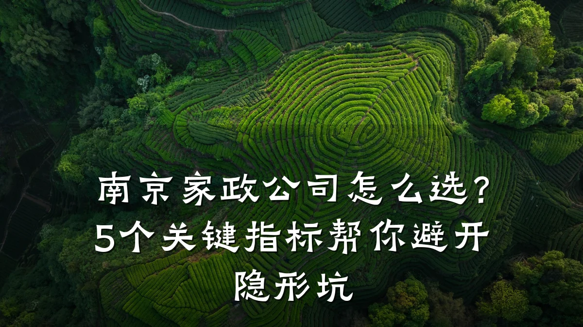 南京家政公司怎么选？5个关键指标帮你避开隐形坑
