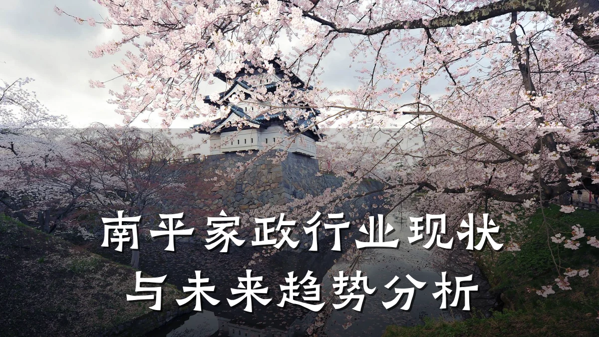 南平家政行业现状与未来趋势分析