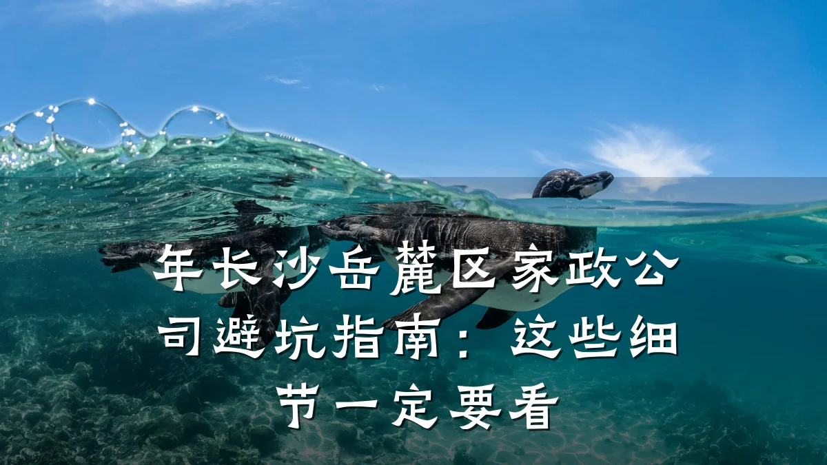 年长沙岳麓区家政公司避坑指南:这些细节一定要看