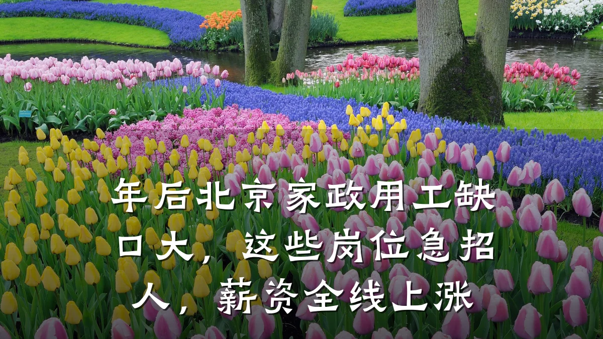 年后北京家政用工缺口大,这些岗位急招人,薪资全线上涨