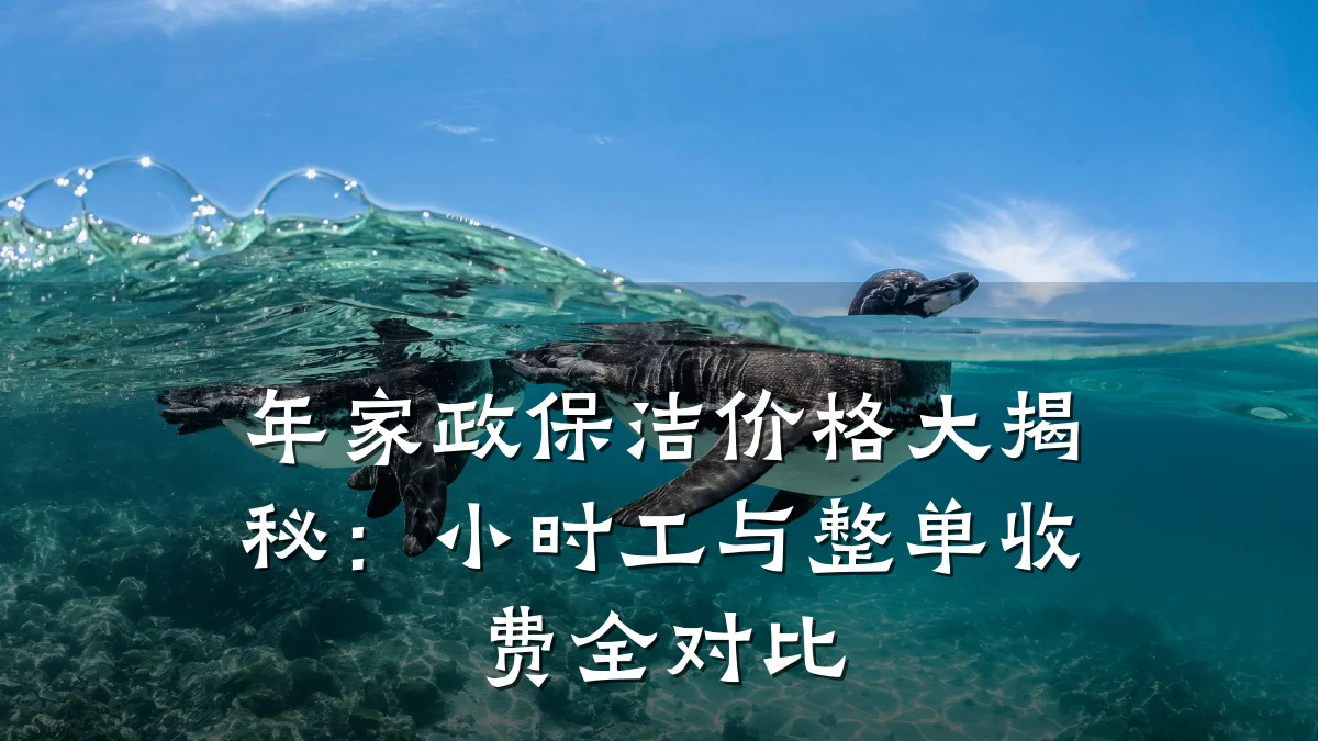 年家政保洁价格大揭秘:小时工与整单收费全对比